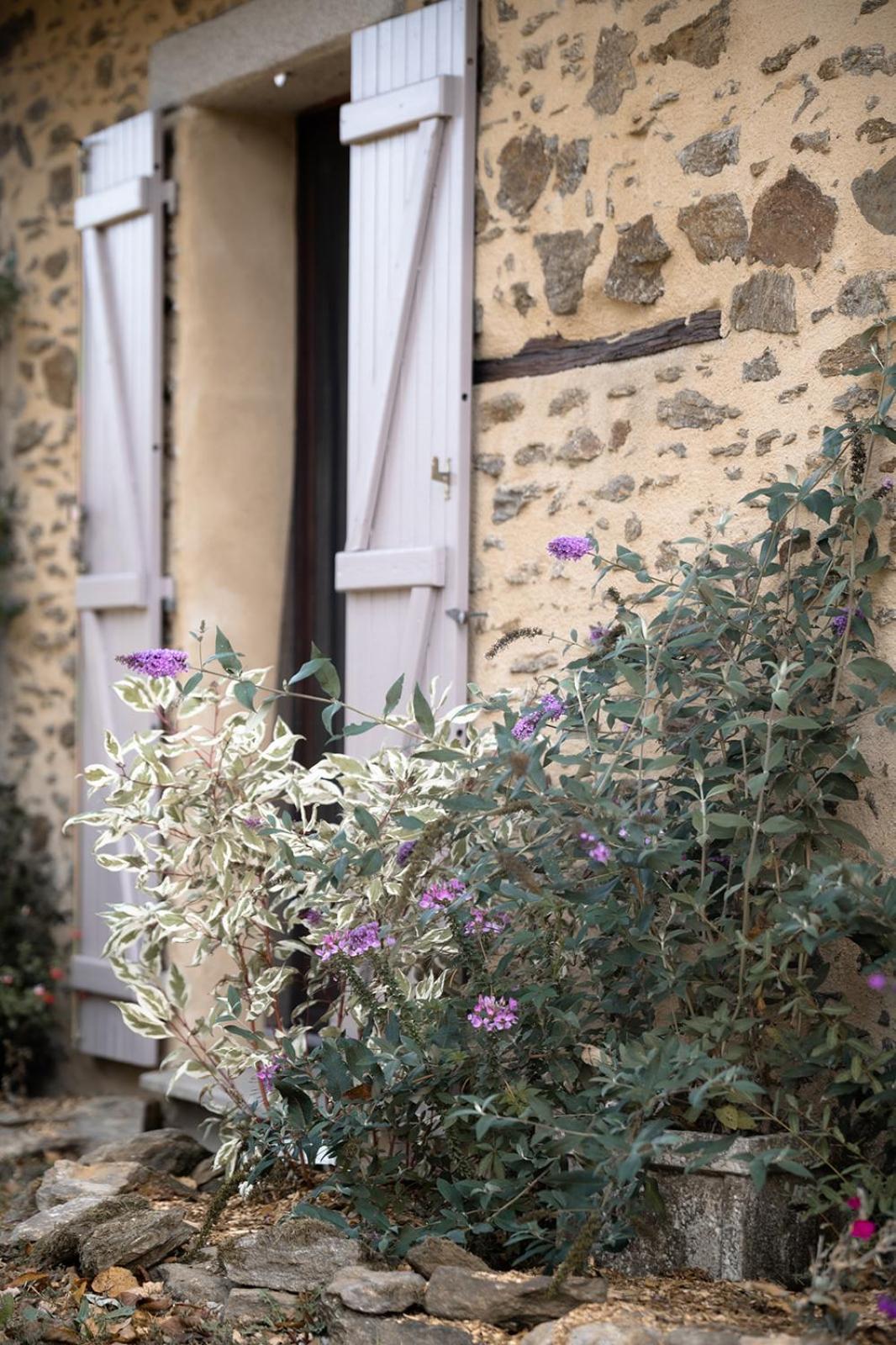 Hotel Domaine Abbey-Rose Champsac Esterno foto